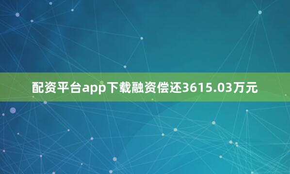 配资平台app下载融资偿还3615.03万元