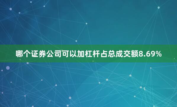 哪个证券公司可以加杠杆占总成交额8.69%