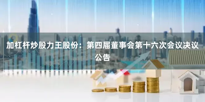 加杠杆炒股力王股份：第四届董事会第十六次会议决议公告