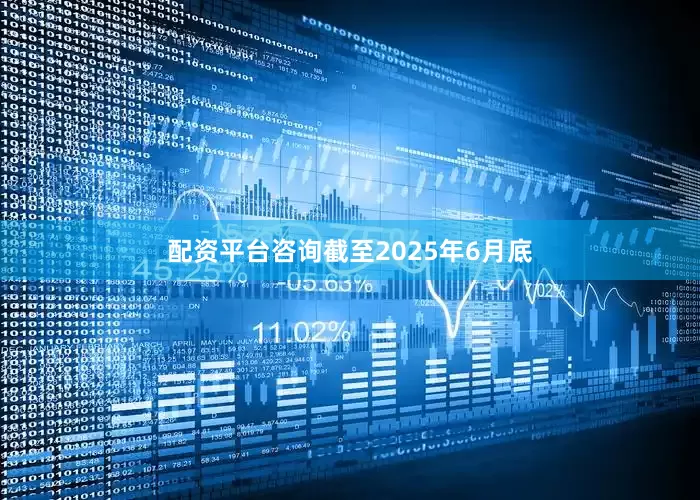 配资平台咨询截至2025年6月底