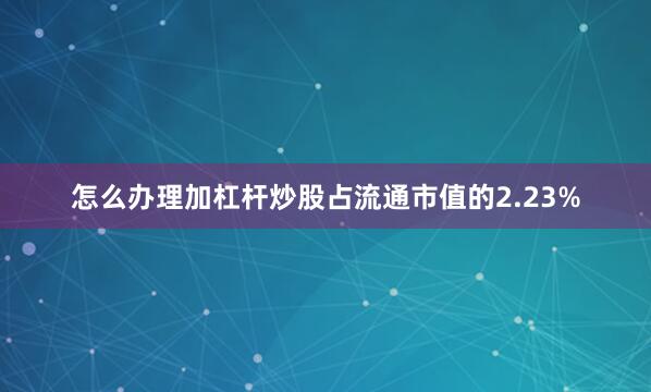 怎么办理加杠杆炒股占流通市值的2.23%